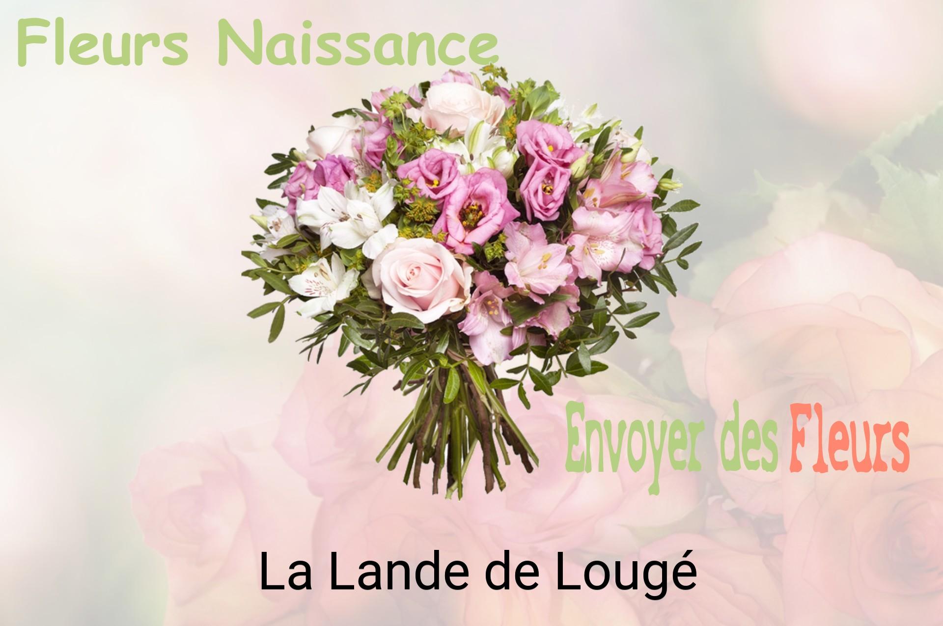 Bouquet de fleurs de naissance livré à La Lande-de-Lougé